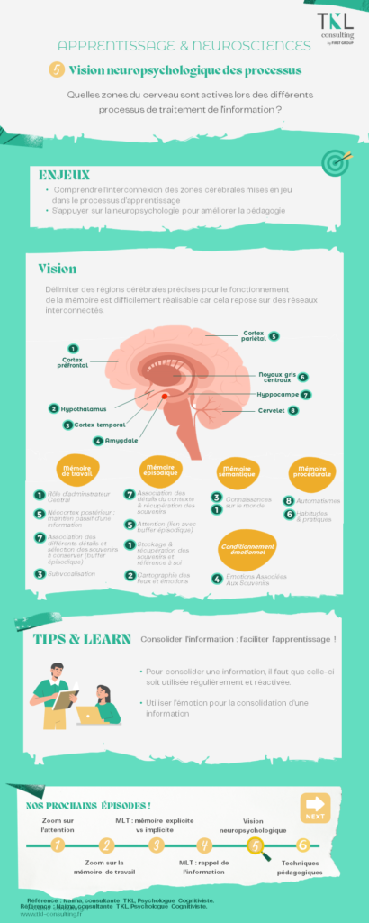 @Vision neuropsychologique