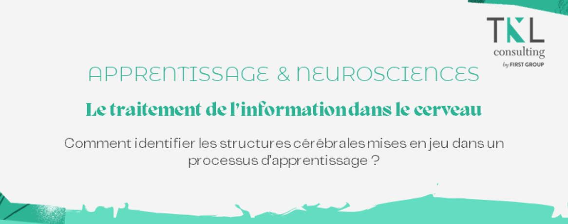 Traitement de l’information – Apprentissage & Neurosciences